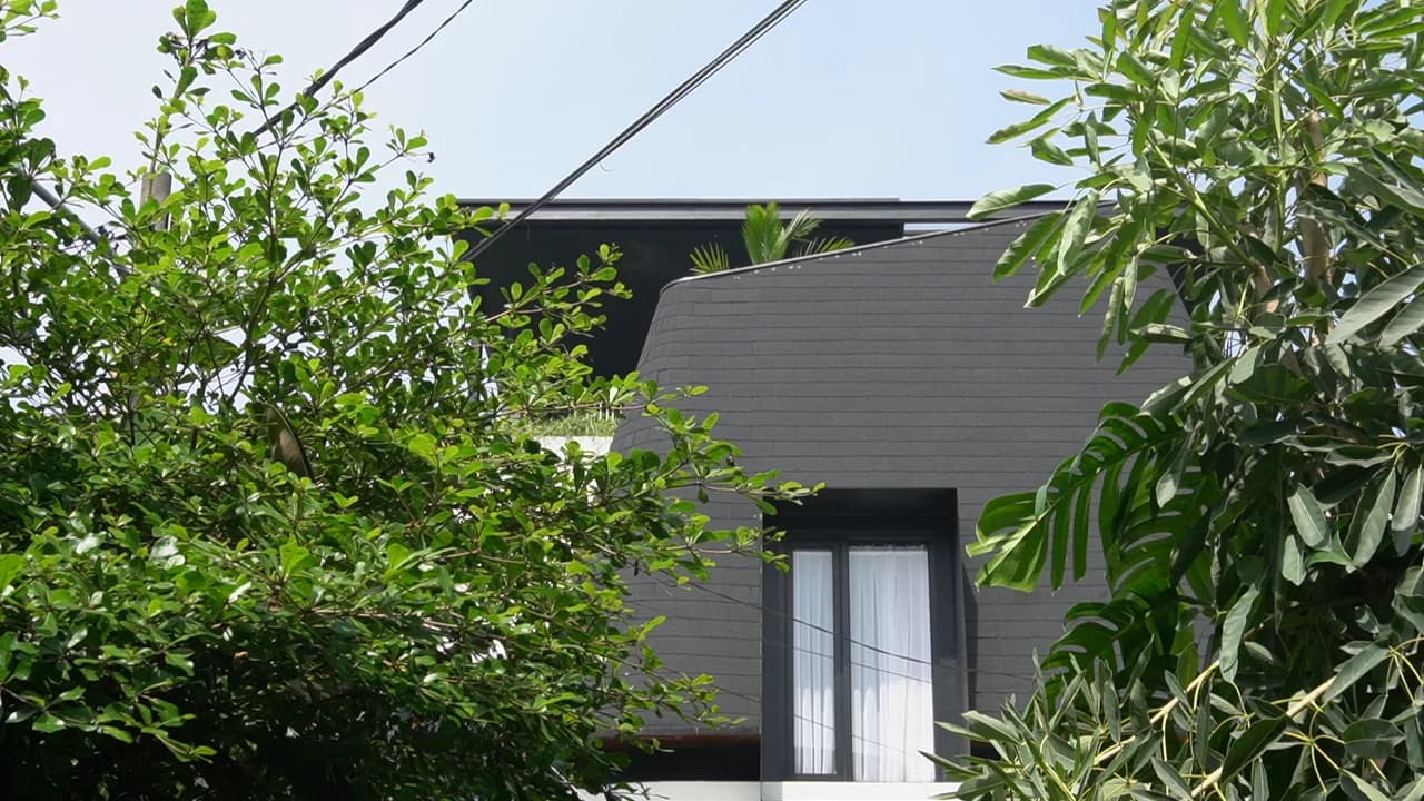 LVN House