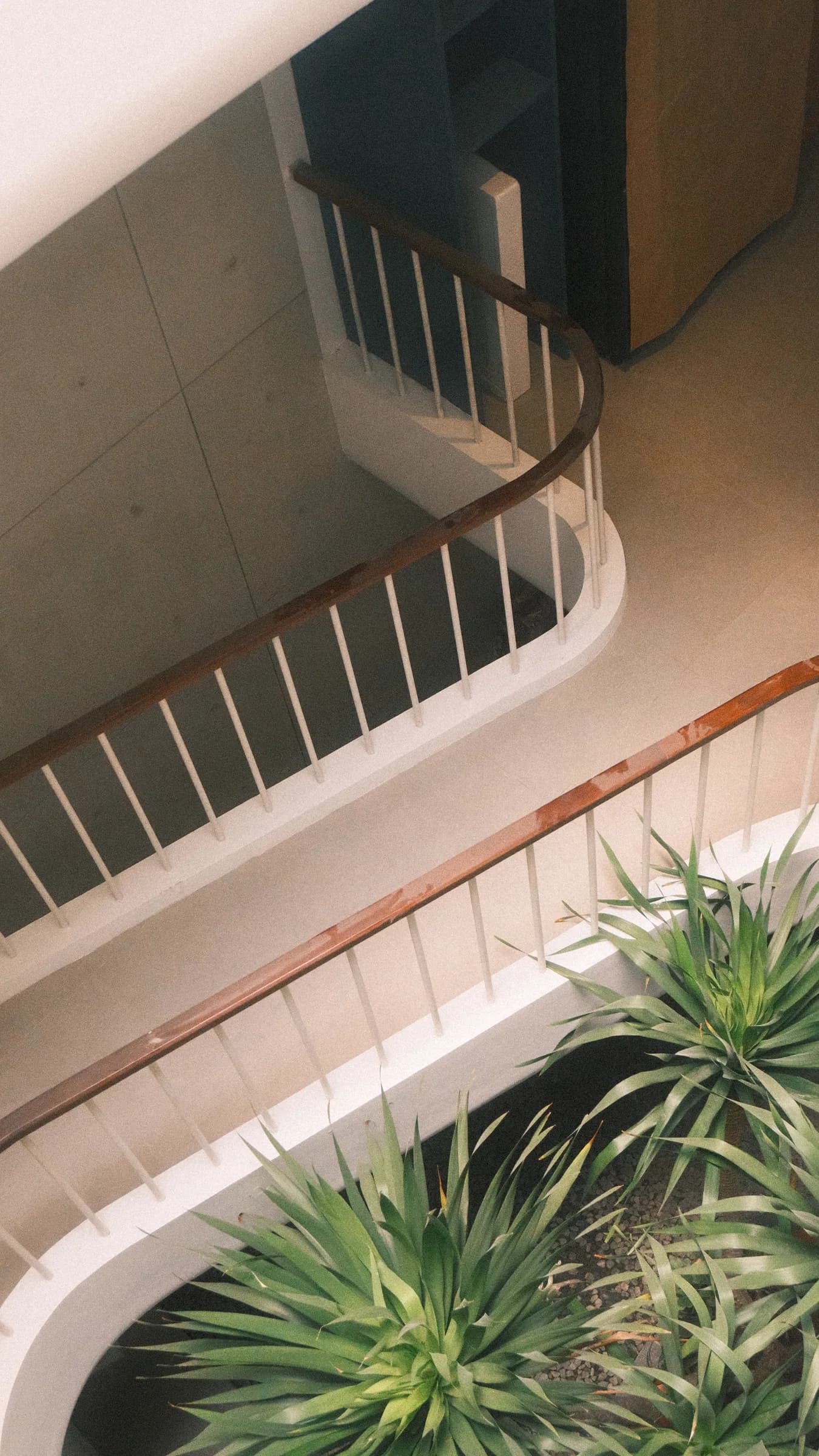 WT House — detail 2