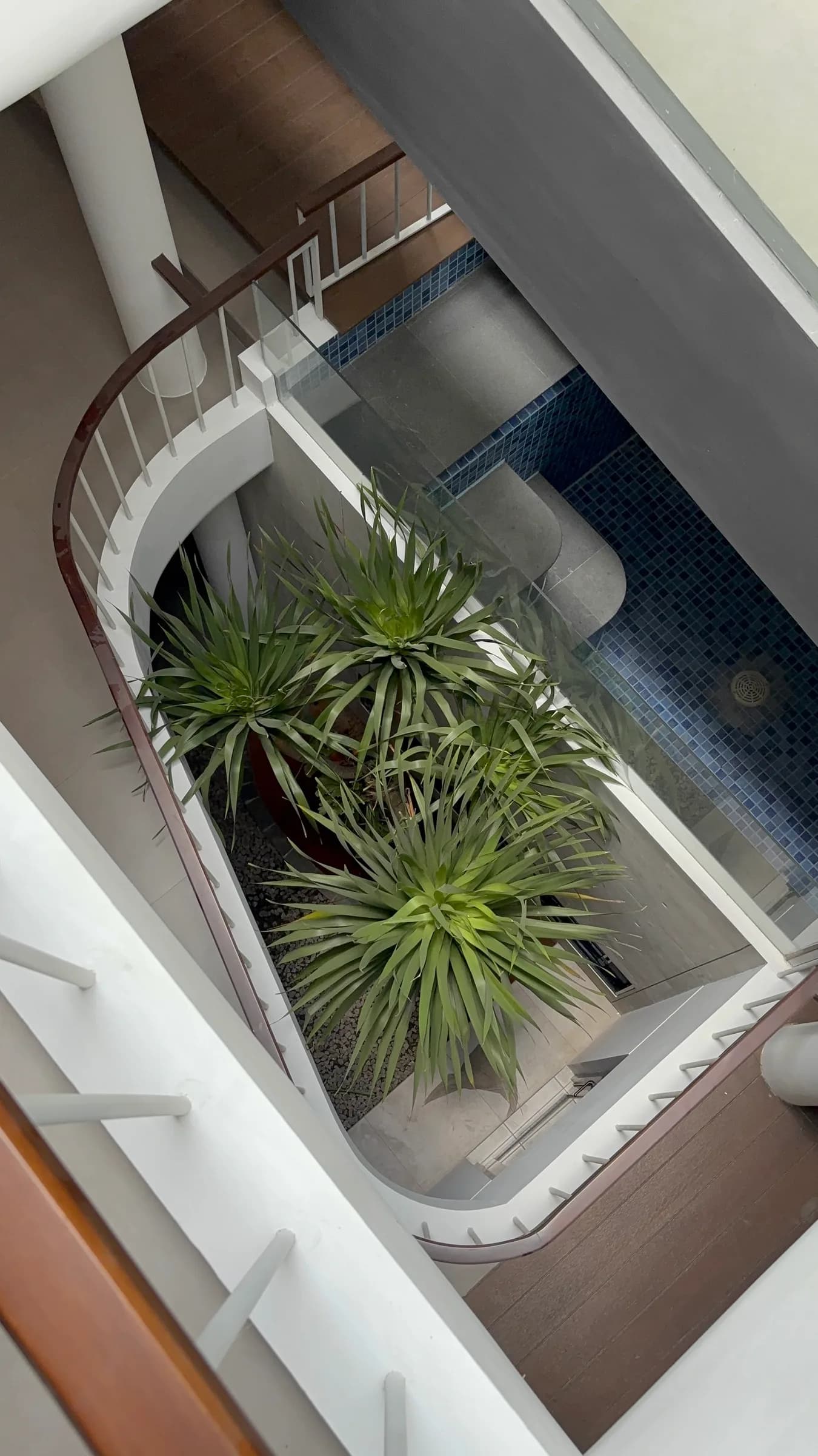 WT House — detail 5